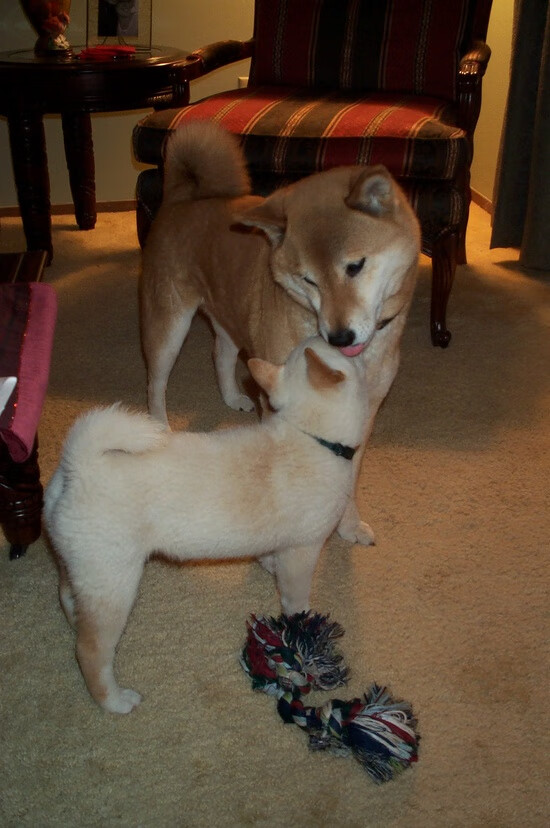 【心态训练】比赛中保持专注力和稳定性的心理技巧,比赛如何调整心态