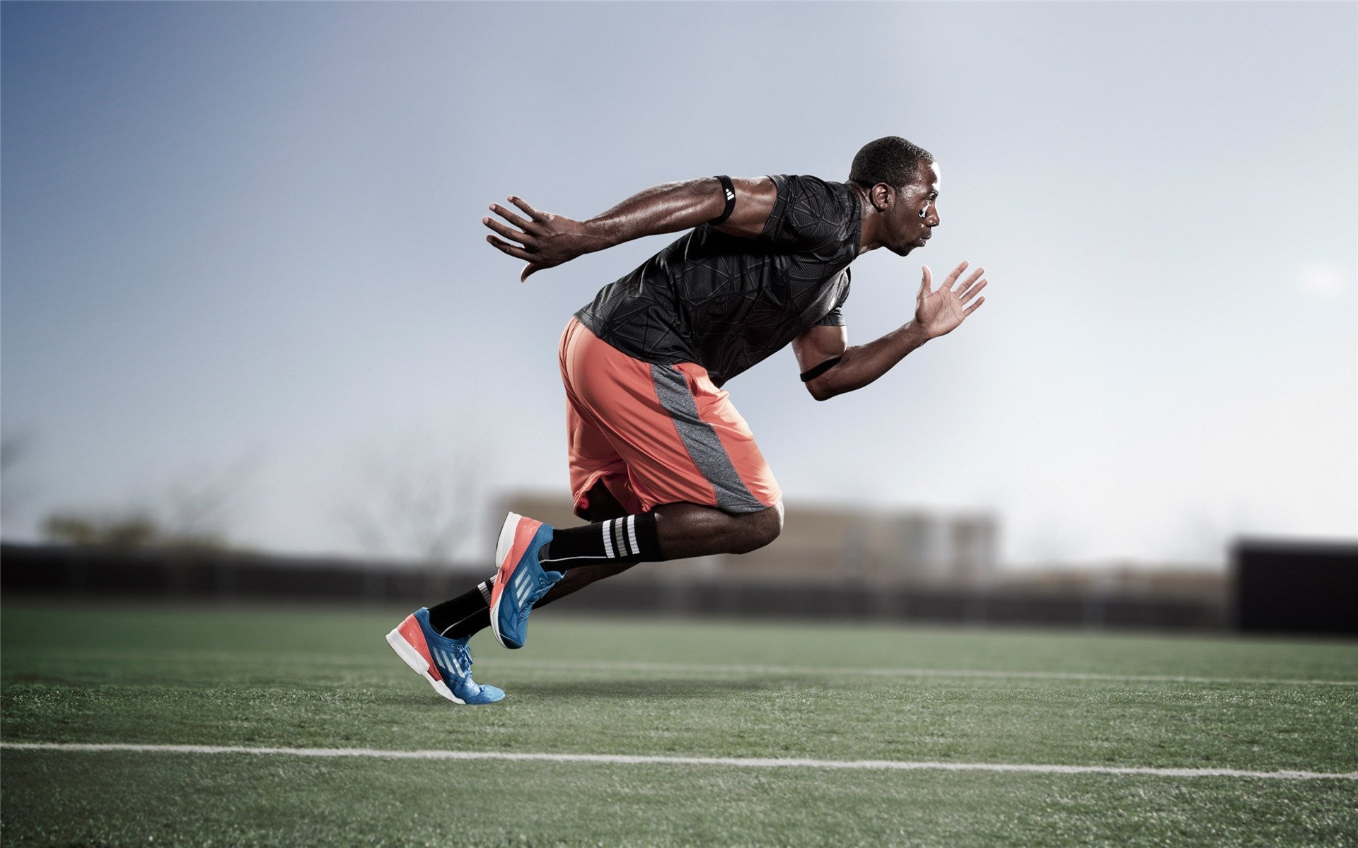 马术文化节在京举办融合传统与现代，马术文化周