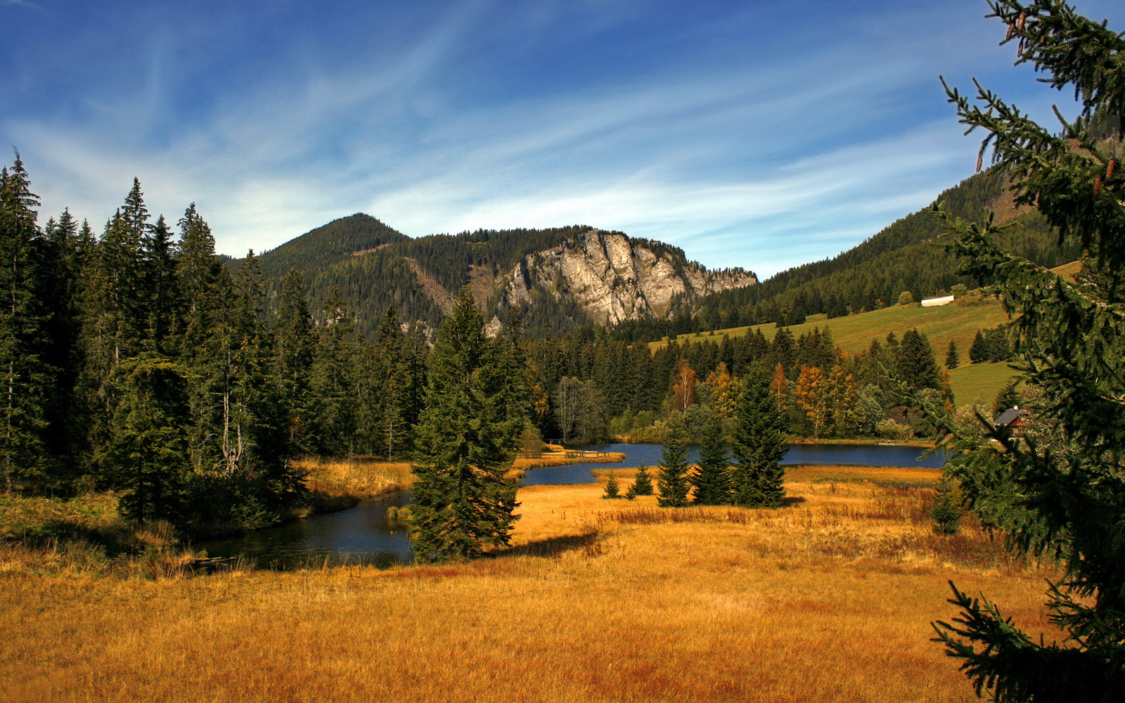 九游手机游戏-【未来球场概念】超智能化，让比赛更加激烈精彩，智慧球场发展现状
